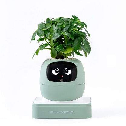 Plant pet robot | Smart Sensor Flower Pot OLED Display Battery | USB Powered WiFi Controlled Via Tuya App Featuring Interactive Emotive Functions